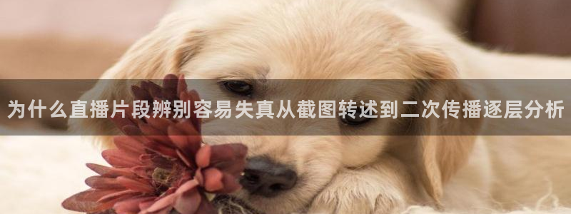 事件爆料动态