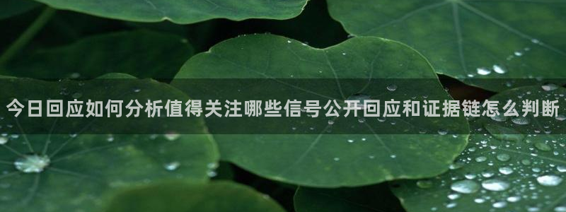 黑料爆料资讯榜:今日回应如何分析值得关注哪些信号公开回应和证据链怎么判断