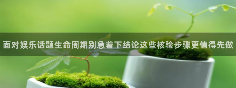 黑料事件动态：面对娱乐话题生命周期别急着下结论这些核验步骤更值得先做