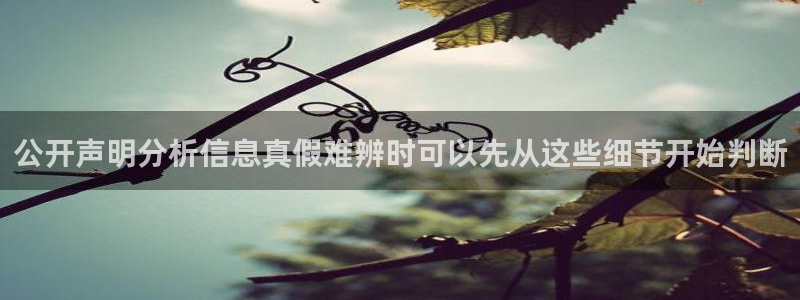 黑料今日事件：公开声明分析信息真假难辨时可以先从这些细节开始判断