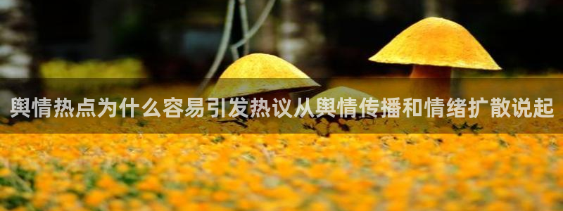 黑料爆料最新资讯:舆情热点为什么容易引发热议从舆情传播和情绪扩散说起